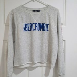 Abercrombie and Fitch Crop Sweatshirt